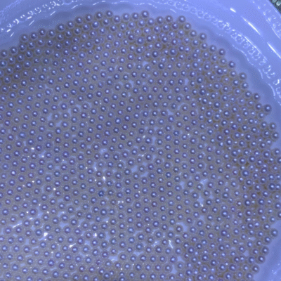 3-4 mm 6a Hochglanz-Rundperlen aus Süßwasser